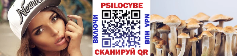 Галлюциногенные грибы мухоморы  как найти наркотики  Берёзовка 